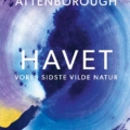 Havet